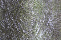 Bala fibreglass roof work